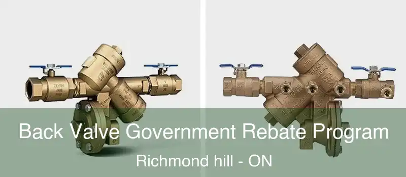  Back Valve Government Rebate Program Richmond hill - ON