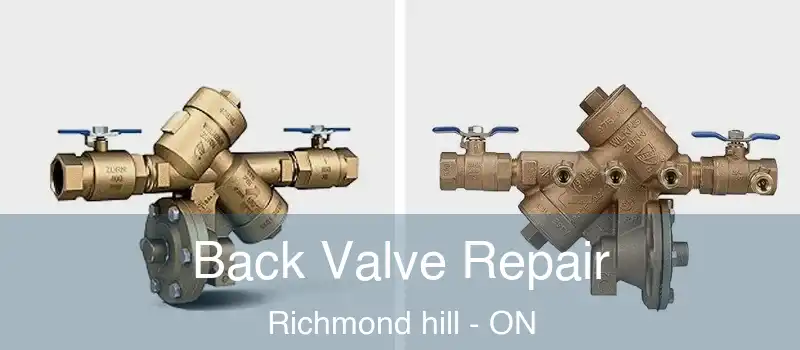  Back Valve Repair Richmond hill - ON