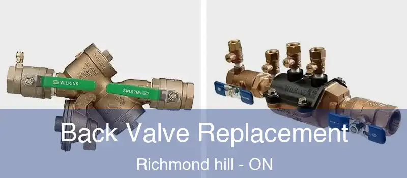  Back Valve Replacement Richmond hill - ON