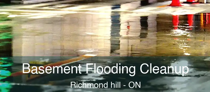  Basement Flooding Cleanup Richmond hill - ON