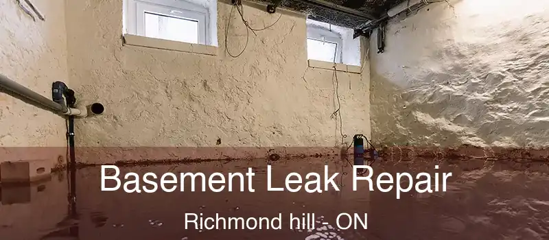  Basement Leak Repair Richmond hill - ON