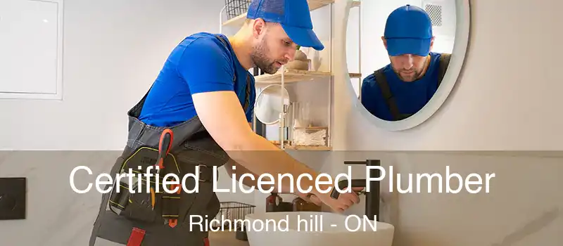  Certified Licenced Plumber Richmond hill - ON