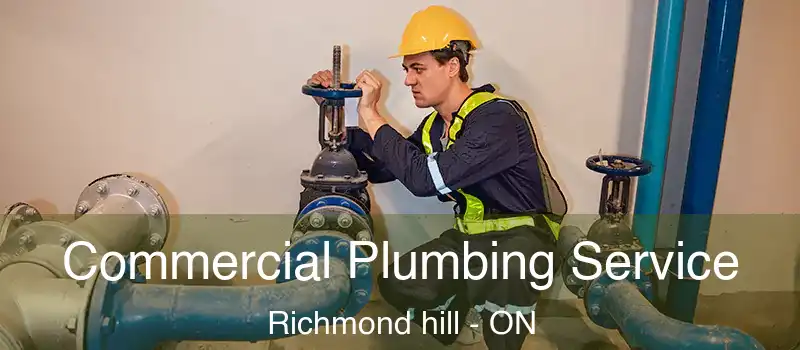  Commercial Plumbing Service Richmond hill - ON