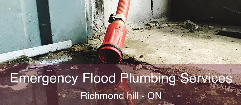  Emergency Flood Plumbing Services Richmond hill - ON