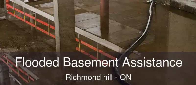  Flooded Basement Assistance Richmond hill - ON