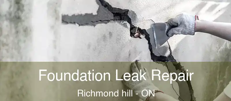  Foundation Leak Repair Richmond hill - ON
