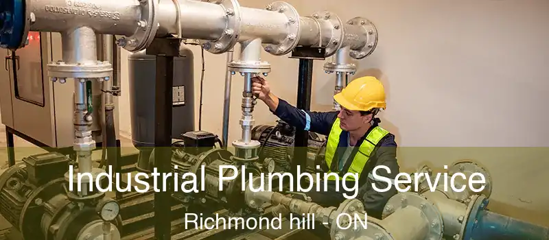  Industrial Plumbing Service Richmond hill - ON