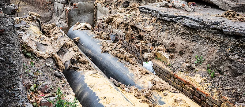 Commercial Sewer Tree Roots Damage Solutions in Richmond hill, ON