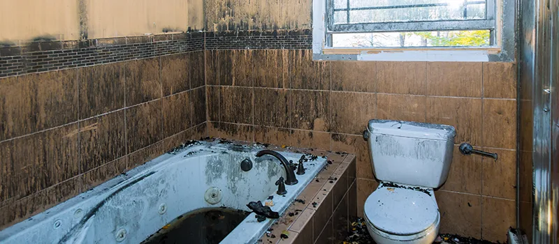 Residential Water Damage Restoration in Richmond hill, ON