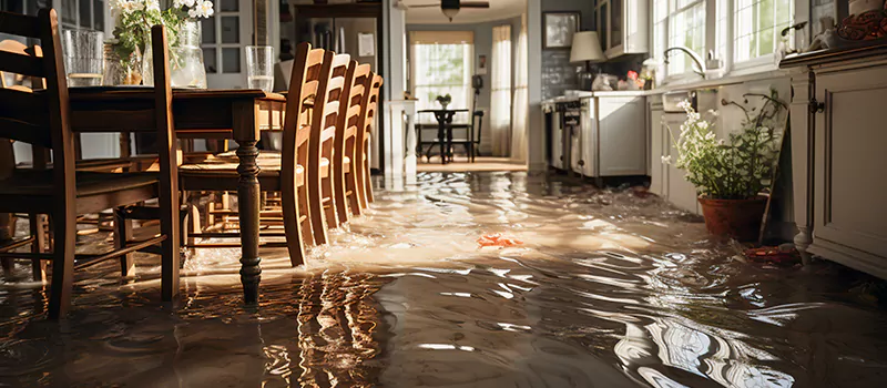 Flooded House Help Near Me in Richmond hill, Ontario