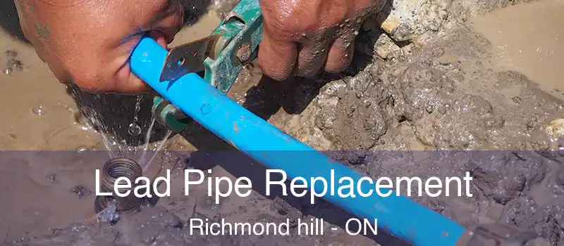  Lead Pipe Replacement Richmond hill - ON