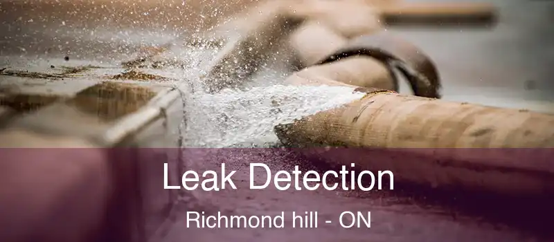  Leak Detection Richmond hill - ON