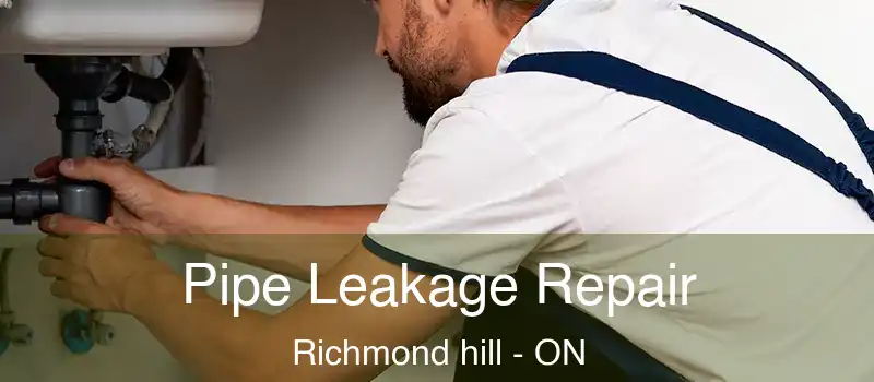  Pipe Leakage Repair Richmond hill - ON
