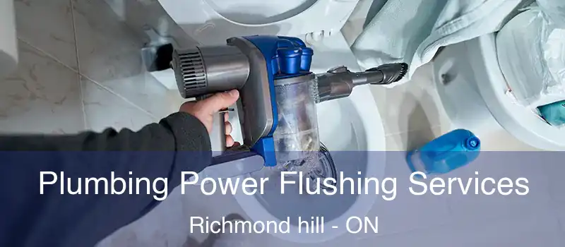  Plumbing Power Flushing Services Richmond hill - ON