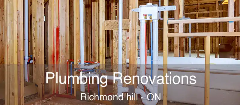  Plumbing Renovations Richmond hill - ON