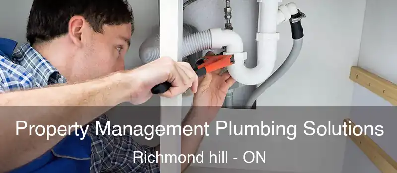  Property Management Plumbing Solutions Richmond hill - ON