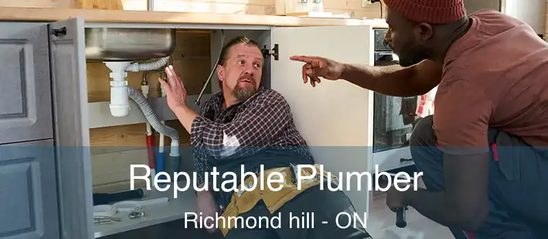  Reputable Plumber Richmond hill - ON