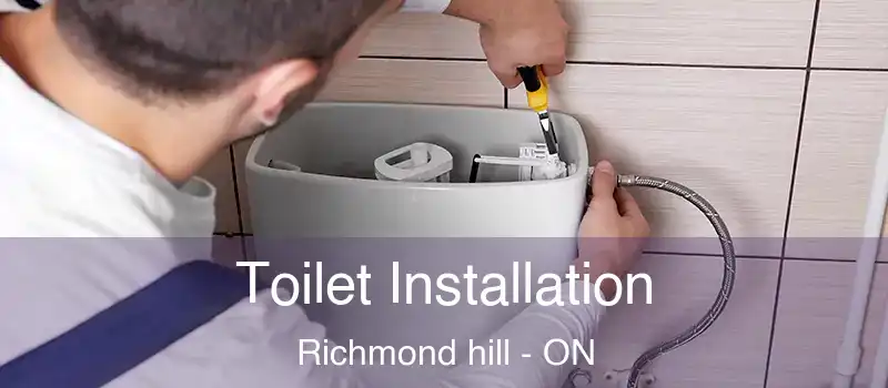  Toilet Installation Richmond hill - ON