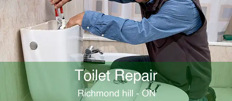  Toilet Repair Richmond hill - ON