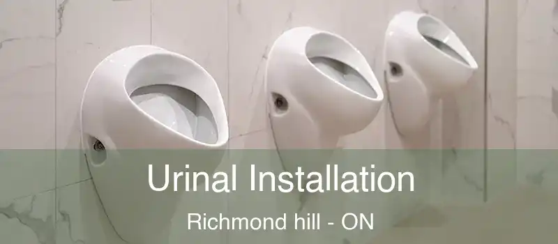  Urinal Installation Richmond hill - ON
