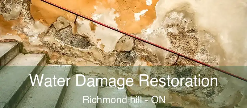  Water Damage Restoration Richmond hill - ON