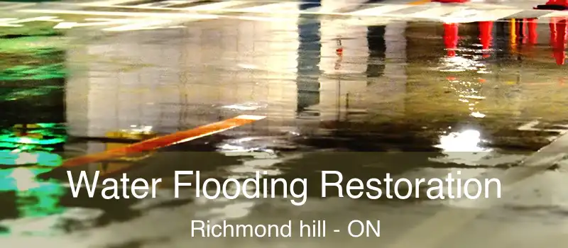  Water Flooding Restoration Richmond hill - ON