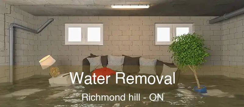  Water Removal Richmond hill - ON