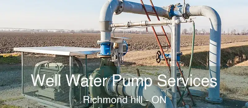  Well Water Pump Services Richmond hill - ON